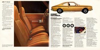 1973 AMC Full Line Prestige-12-13.jpg